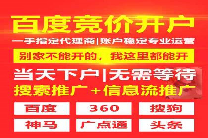 某企业通过百度SEM实现ROI最大化的案例